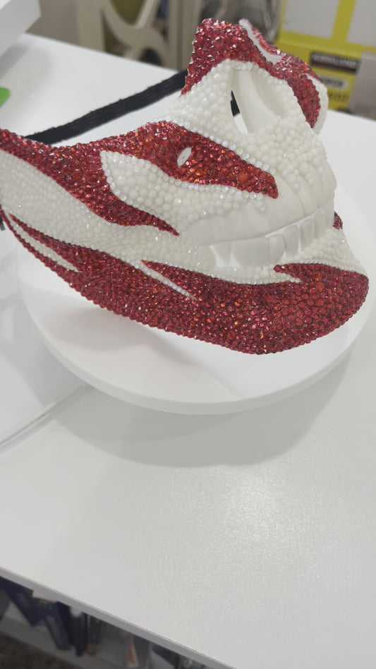 Perfect with a Cane Mask ( Tailgate / Fraternity / Party / Football / Fright Night )